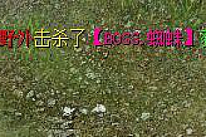 魔域系统提示如何修改带颜色的字体–魔域工作室